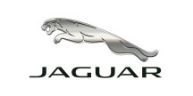 Cucharas para Jaguar
